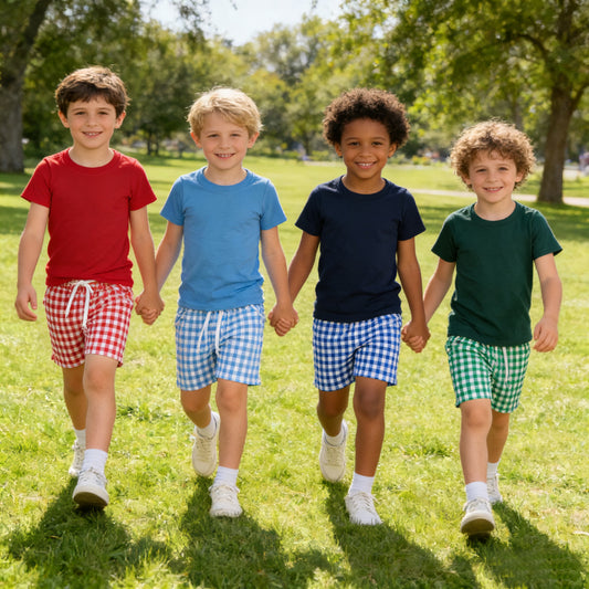 Sibling Baby Boys Summer Cotton Short Sleeve Top Gingham Shorts Outfit