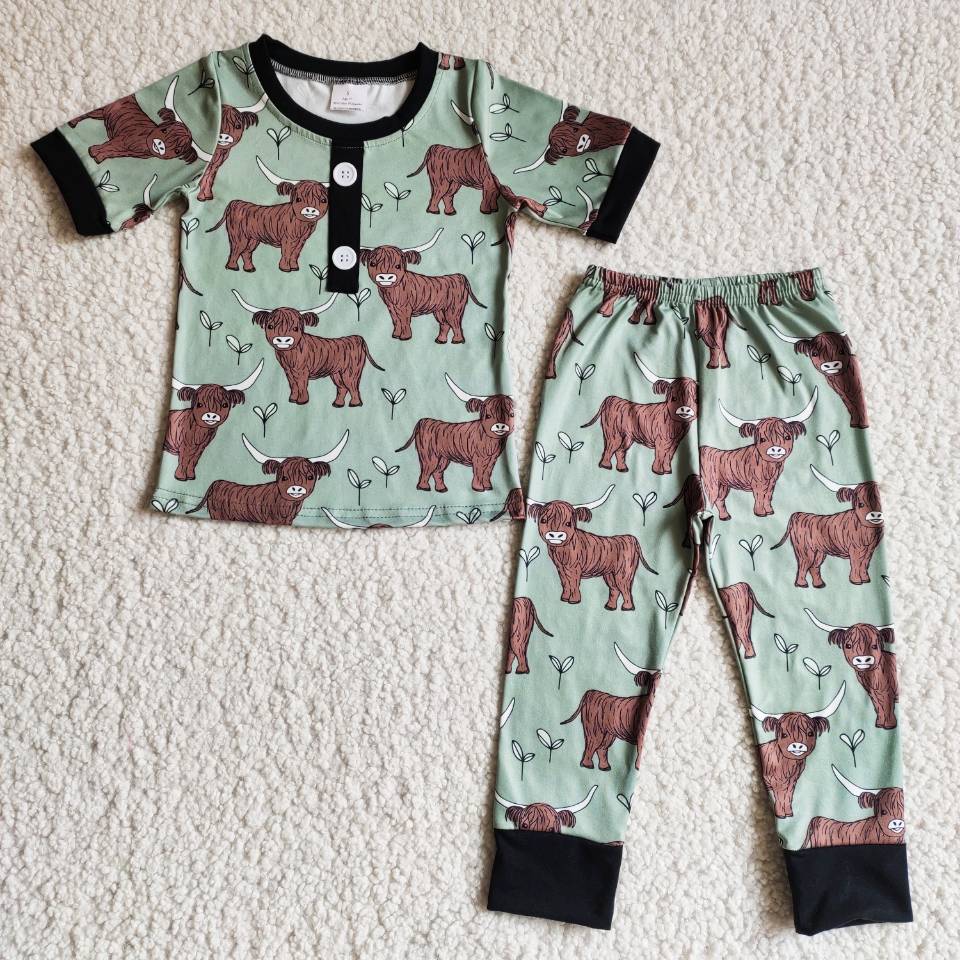Sibling Baby Boys Western Howdy Rodeo Cactus Short Sleeve Top Pants Outfit