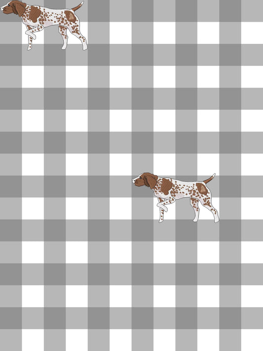 4.16 Toddler Boys Hunting Dog Brown Long Sleeve  Top with Gingham Pants Outfit Preorder