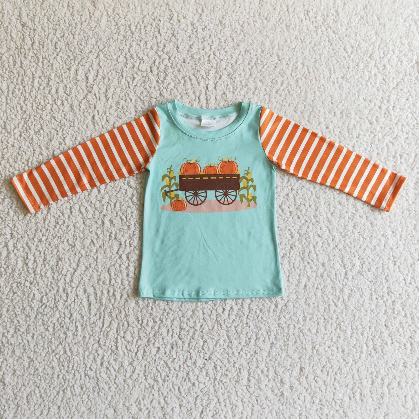 Boys Fall Pumpkin T-shirts Top        BT0030