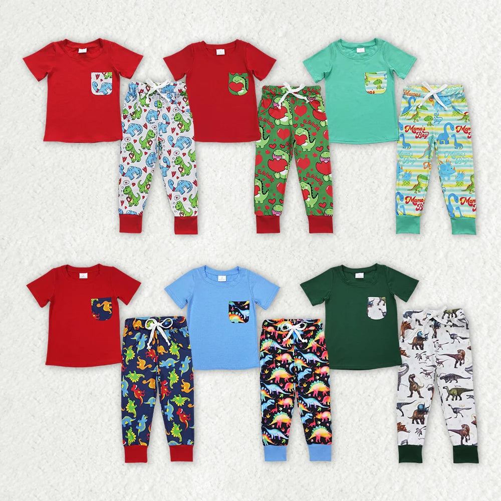 Sibling Baby Boys Dinosaurs Pocket Tee Top Pants Outfit